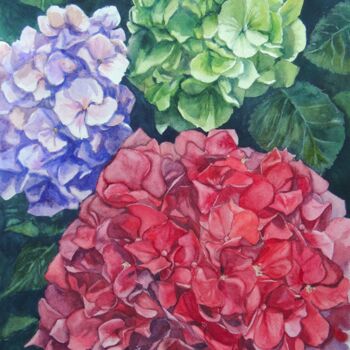 Peinture intitulée "The colourful trio" par Krystyna Szczepanowski, Œuvre d'art originale, Aquarelle