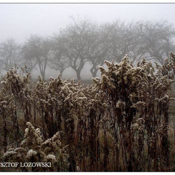 Photographie intitulée "Jesień" par Krzysztof Lozowski, Œuvre d'art originale