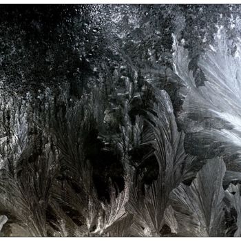 Fotografia zatytułowany „Mroz IV / Frost” autorstwa Krzysztof Lozowski, Oryginalna praca