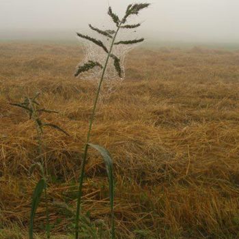 Photographie intitulée "Landscapes" par Krzysztof Lozowski, Œuvre d'art originale