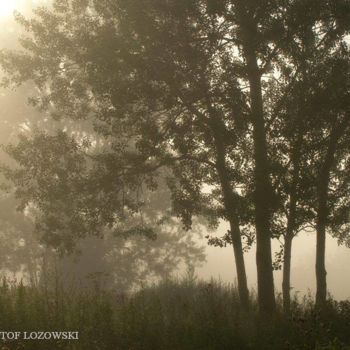 Photographie intitulée "Landscapes" par Krzysztof Lozowski, Œuvre d'art originale