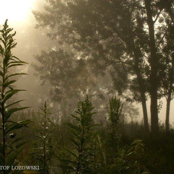 Photographie intitulée "Landscapes" par Krzysztof Lozowski, Œuvre d'art originale