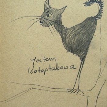 Rysunek zatytułowany „Jestem kotoptakowa” autorstwa Krzysztof Lozowski, Oryginalna praca