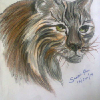 Dessin intitulée "Wild Cat .jpg" par Samrin Khan, Œuvre d'art originale, Pastel