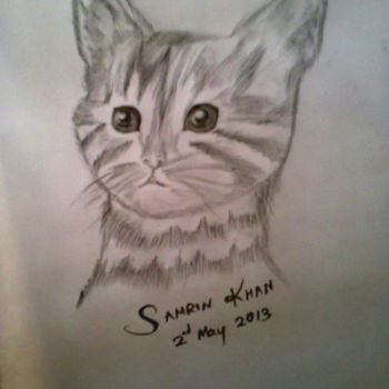 Dessin intitulée "Kitty.jpg" par Samrin Khan, Œuvre d'art originale