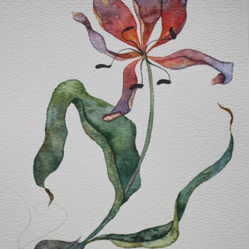 Peinture intitulée "withered tulip" par Ksenia Tarasova, Œuvre d'art originale, Aquarelle