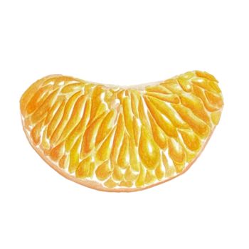 绘画 标题为“Slice of tangerine” 由Kseniia Tikhomirova, 原创艺术品, 水彩