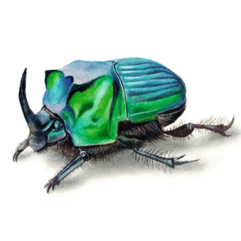 Pintura titulada "Green scarab beetle…" por Kseniia Tikhomirova, Obra de arte original, Acuarela