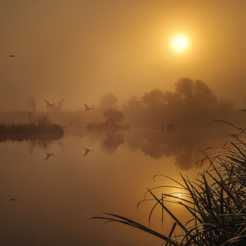 Photographie intitulée "Magical morning" par Martin Kucera, Œuvre d'art originale, Photographie argentique