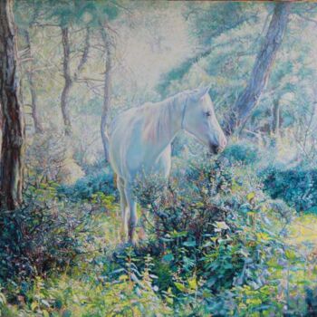 Peinture intitulée "Horse in Heybeli (a…" par Kudret Türküm, Œuvre d'art originale, Huile