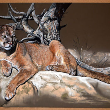 Dessin intitulée "Puma on vacation" par Anna Pershneva, Œuvre d'art originale, Pastel
