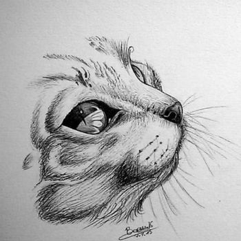 Drawing titled "chat" by Kevin Boeur, Original Artwork, Graphite