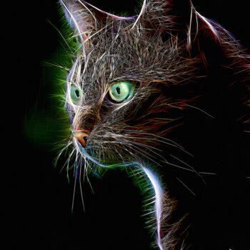 Digital Arts titled "Sombra, cat - Mix m…" by L.Roche, Original Artwork, Acrylic