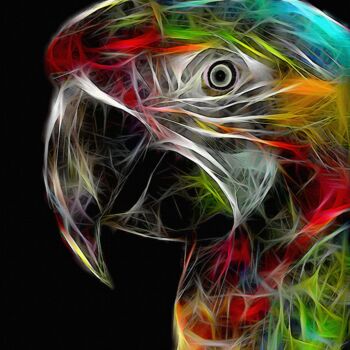 Artes digitais intitulada "Kopi, parrot" por L.Roche, Obras de arte originais, Acrílico