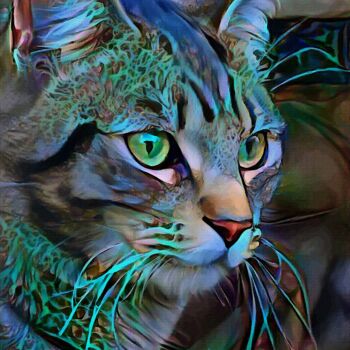 Digital Arts titled "Zorbay, cat" by L.Roche, Original Artwork, Acrylic