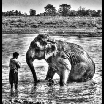 Photographie intitulée "elefant bath" par Laseptieme Couleur, Œuvre d'art originale