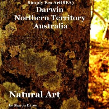 Fotografía titulada "Book cover Natural…" por Ladymouse, Obra de arte original