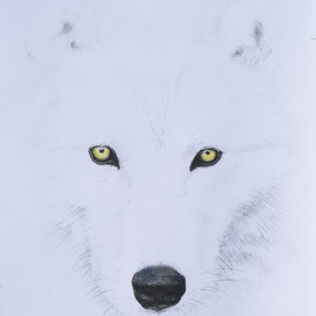 Drawing titled "Loup Blanc" by Laetitia Debienne, Original Artwork, Pastel Mounted on Wood Stretcher frame