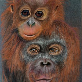 Zeichnungen mit dem Titel "Orang-outans" von Laetitia Debienne, Original-Kunstwerk, Pastell Auf Keilrahmen aus Holz montiert