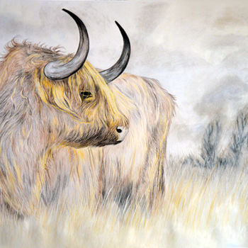 Drawing titled "Vache Écossaise" by Laetitia Debienne, Original Artwork, Pencil