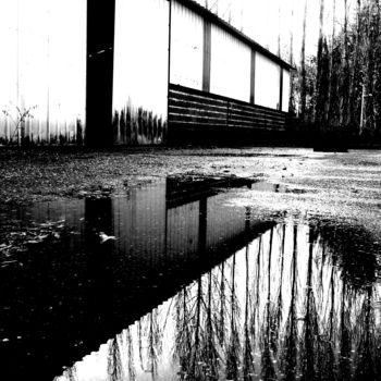 Photographie intitulée "Sombre reflet" par Laëtitia Payet (Lëty Création), Œuvre d'art originale, Photographie numérique