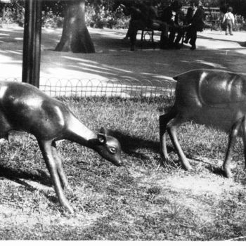 Фотография под названием "gazelles.jpg" - Lakmos, Подлинное произведение искусства