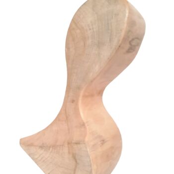 Скульптура под названием "Biomorphism. Wooden…" - Lara Shabelnik, Подлинное произведение искусства, Дерево