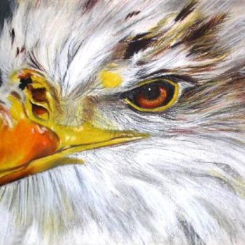 Dessin intitulée "aigle" par Christelle Lardier, Œuvre d'art originale, Autre