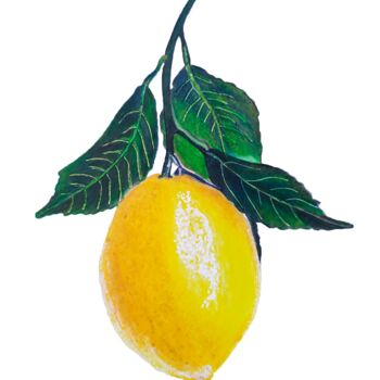 Dessin intitulée "Lemon twig" par Larisa Berzina, Œuvre d'art originale, Crayon