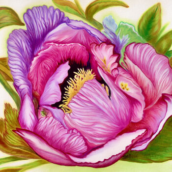 Drawing titled "Peony in full bloom" by Larisa Berzina, Original Artwork, Pencil