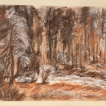 Painting titled "Pine forest" by Larisa Bogdanova, Original Artwork, Pastel