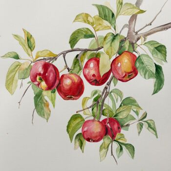 Painting titled "Fragrant apples" by Larisa Robins, Original Artwork, Watercolor