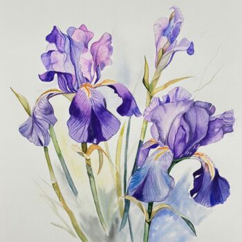 Pintura intitulada "Irises" por Larisa Robins, Obras de arte originais, Aquarela
