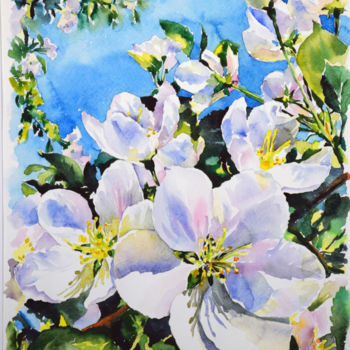 Painting titled "Blooming apple tree" by Olga Larina, Original Artwork, Watercolor
