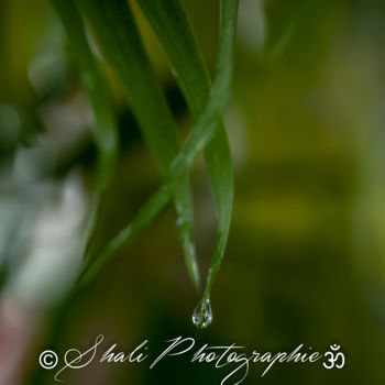 Photography titled "Une goutte" by Shali Photographie, Original Artwork