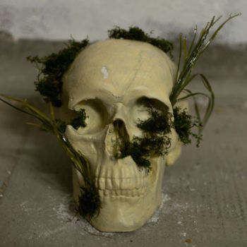Sculpture intitulée "Crâne Végétale" par Benjamin Larroche, Œuvre d'art originale, Plâtre
