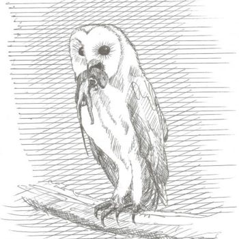 Dessin intitulée "Barn Owl" par Mississippi Artist Larry Moore, Œuvre d'art originale