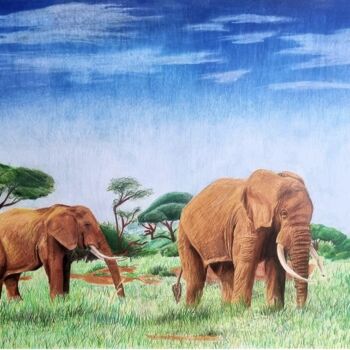 Drawing titled "Safari" by Lartmada17, Original Artwork, Pencil