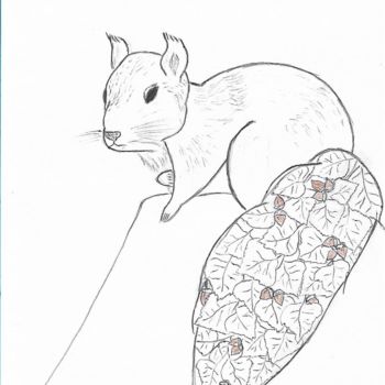 Σχέδιο με τίτλο "squirrel.jpeg" από La Souris, Αυθεντικά έργα τέχνης, Στυλό