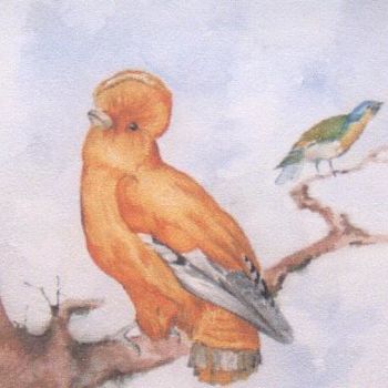 Painting titled "Le perroquet" by Alain Lasserre, Original Artwork, Watercolor