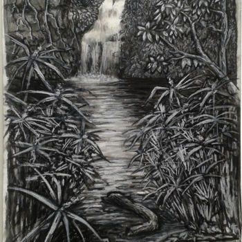 Drawing titled "Bassin Cormoran" by Jean-François Hirsch, Original Artwork, Charcoal