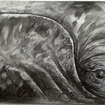 Disegno intitolato "regard de baleine" da Jean-François Hirsch, Opera d'arte originale, Carbone