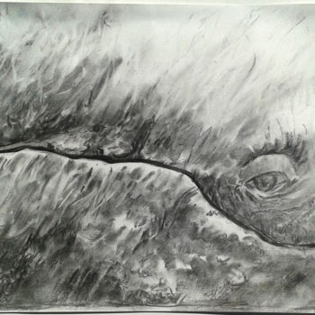 Drawing titled "regard de baleine 2" by Jean-François Hirsch, Original Artwork, Charcoal