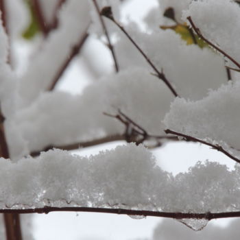 Fotografia intitolato "NEVE" da Laura Esse, Opera d'arte originale