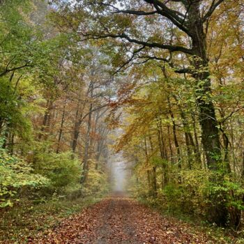 Fotografía titulada "Path" por Laura Marie Klein, Obra de arte original, Fotografía digital