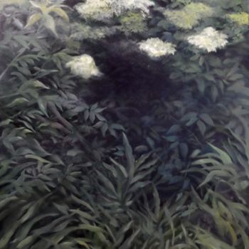 Peinture intitulée "fleurs de sureau" par Laure Boin Watorek, Œuvre d'art originale