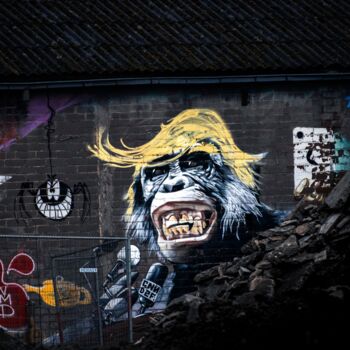 Photographie intitulée "Monkey Trump" par Laure Vignaux, Œuvre d'art originale, Photographie numérique