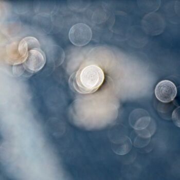 Photographie intitulée "bokeh 2" par Laurence Masson, Œuvre d'art originale, Photographie numérique