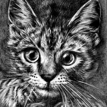 Drawing titled "Les griffes du chat" by Laurence Keriguy, Original Artwork, Pencil