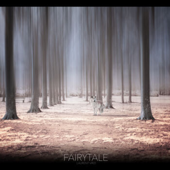 摄影 标题为“Fairytale” 由Laurent Virzi, 原创艺术品, 数码摄影 安装在铝上